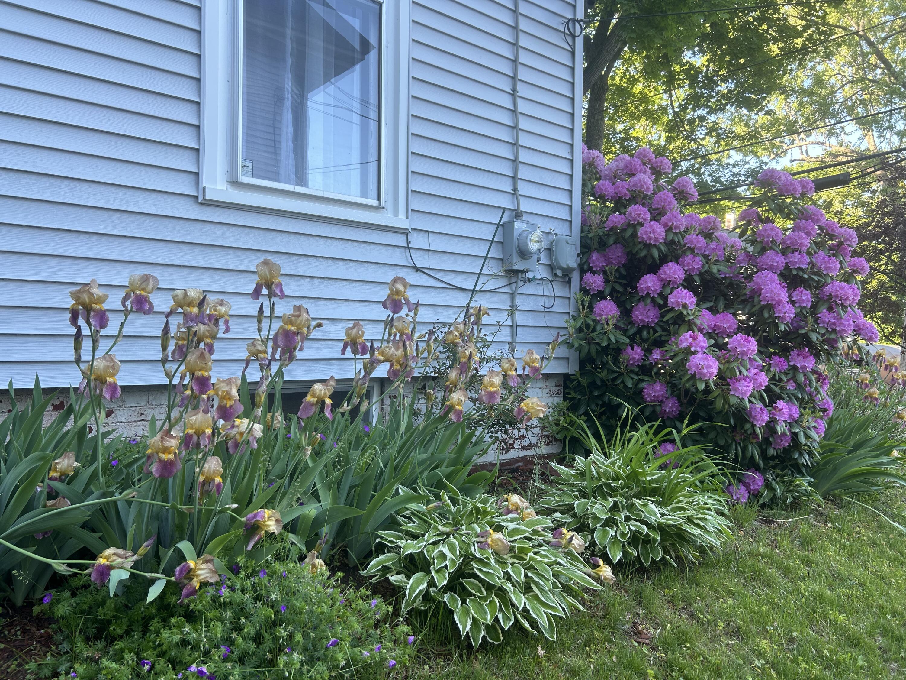 156 Maple Street Bangor ME 04401