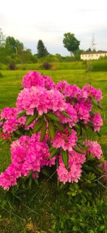 335 Western Avenue Hampden ME 04444