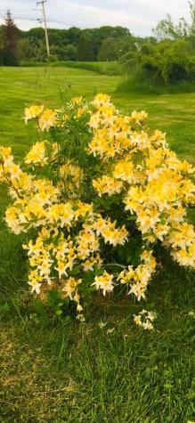 335 Western Avenue Hampden ME 04444