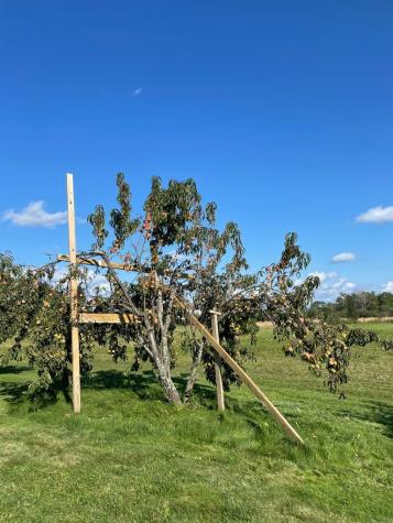 335 Western Avenue Hampden ME 04444