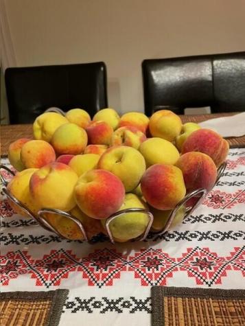 335 Western Avenue Hampden ME 04444