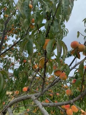 335 Western Avenue Hampden ME 04444