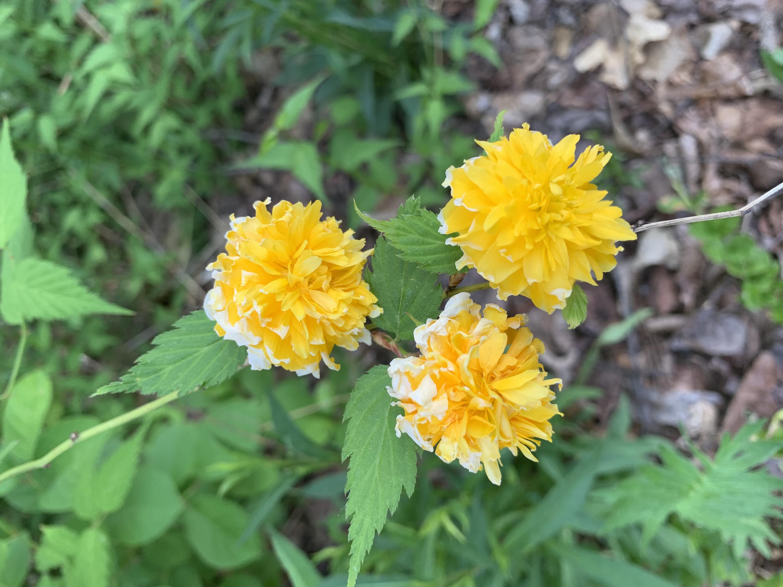 549 Hudson Road Glenburn ME 04401