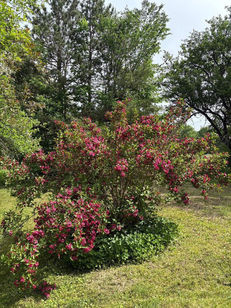 549 Hudson Road Glenburn ME 04401