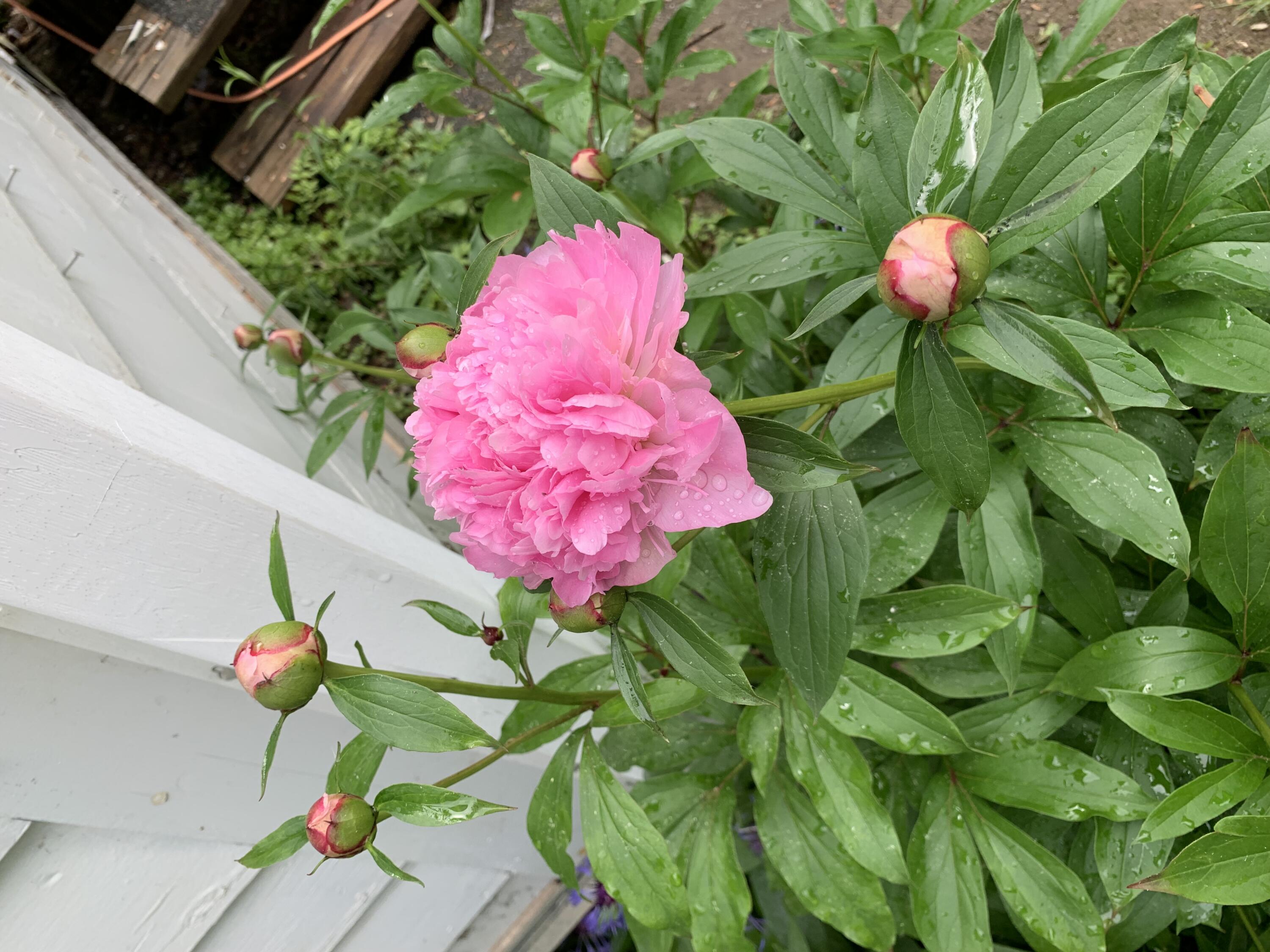 549 Hudson Road Glenburn ME 04401