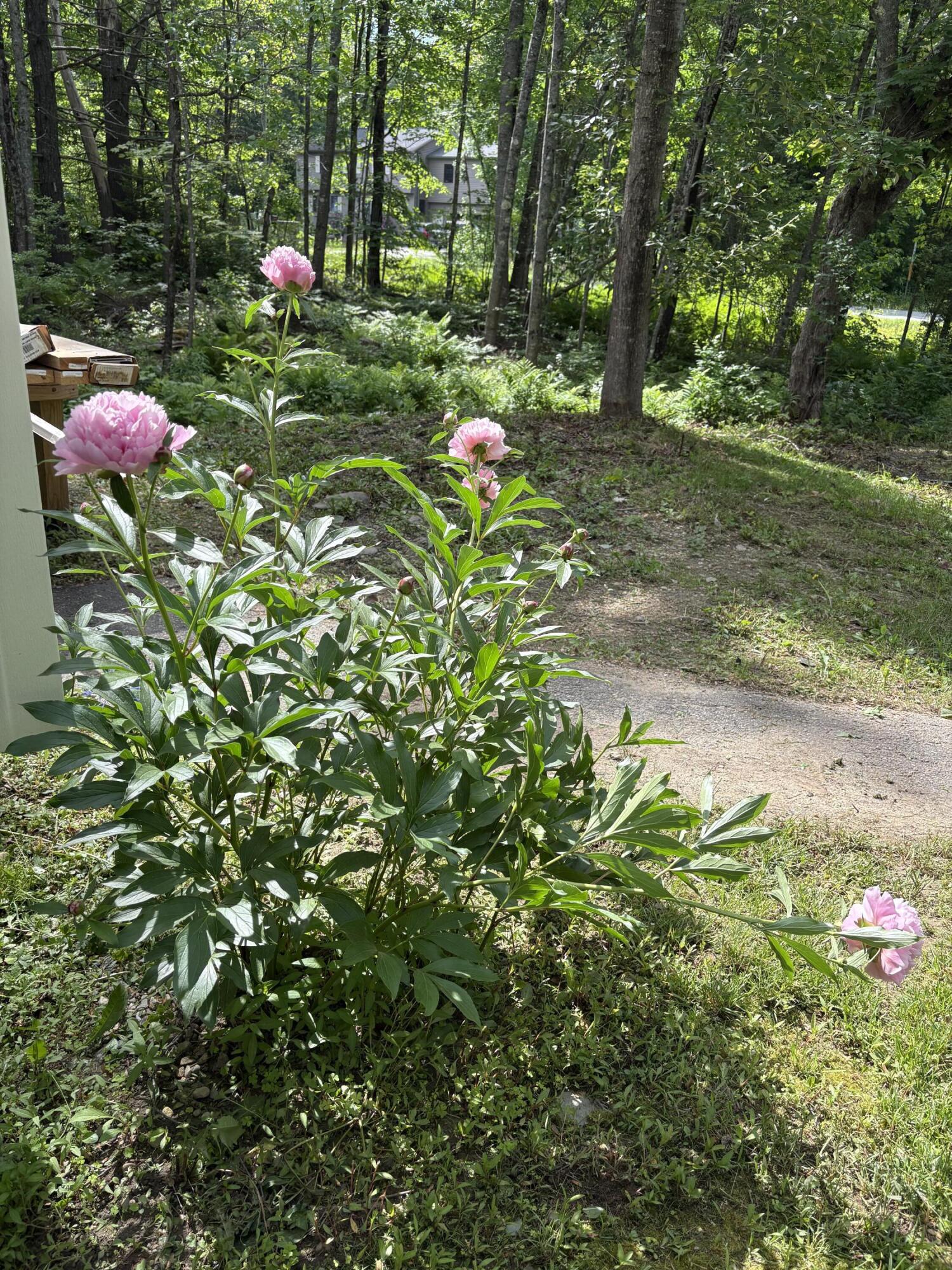 549 Hudson Road Glenburn ME 04401