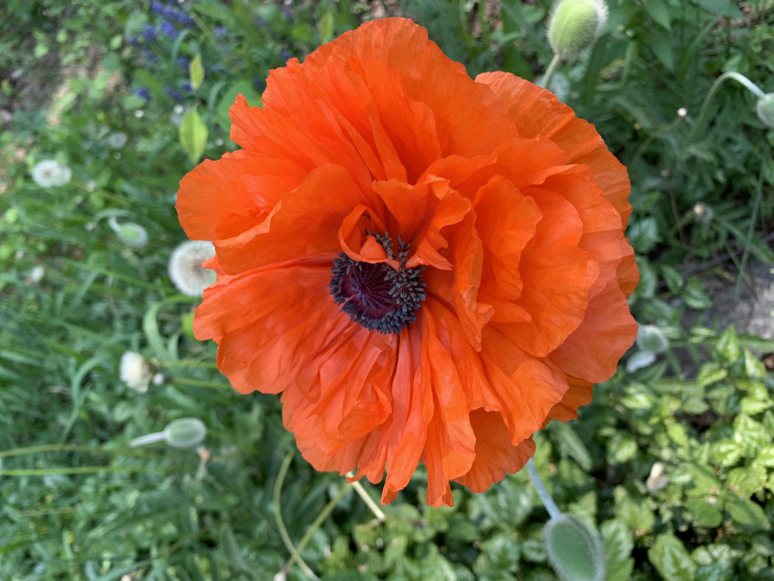 549 Hudson Road Glenburn ME 04401