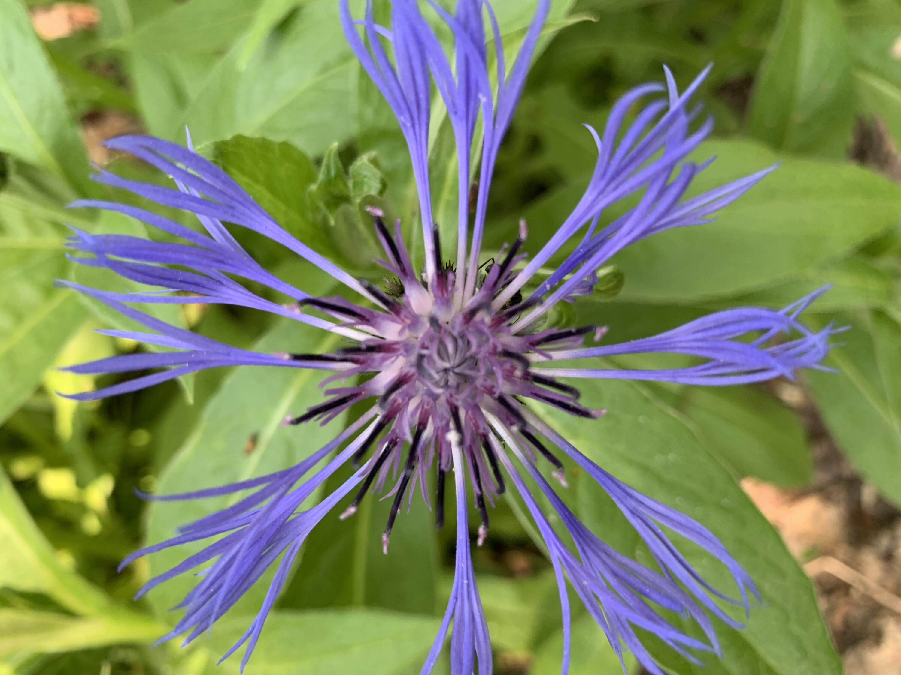 549 Hudson Road Glenburn ME 04401