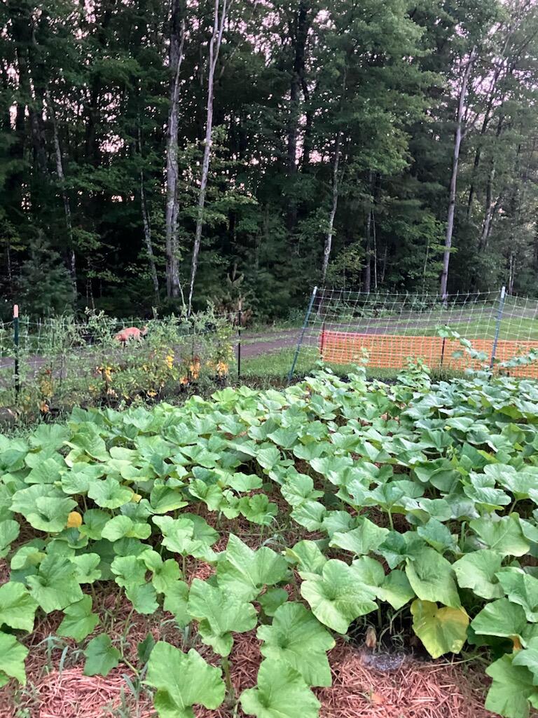 11 Trask Road E Benton ME 04901