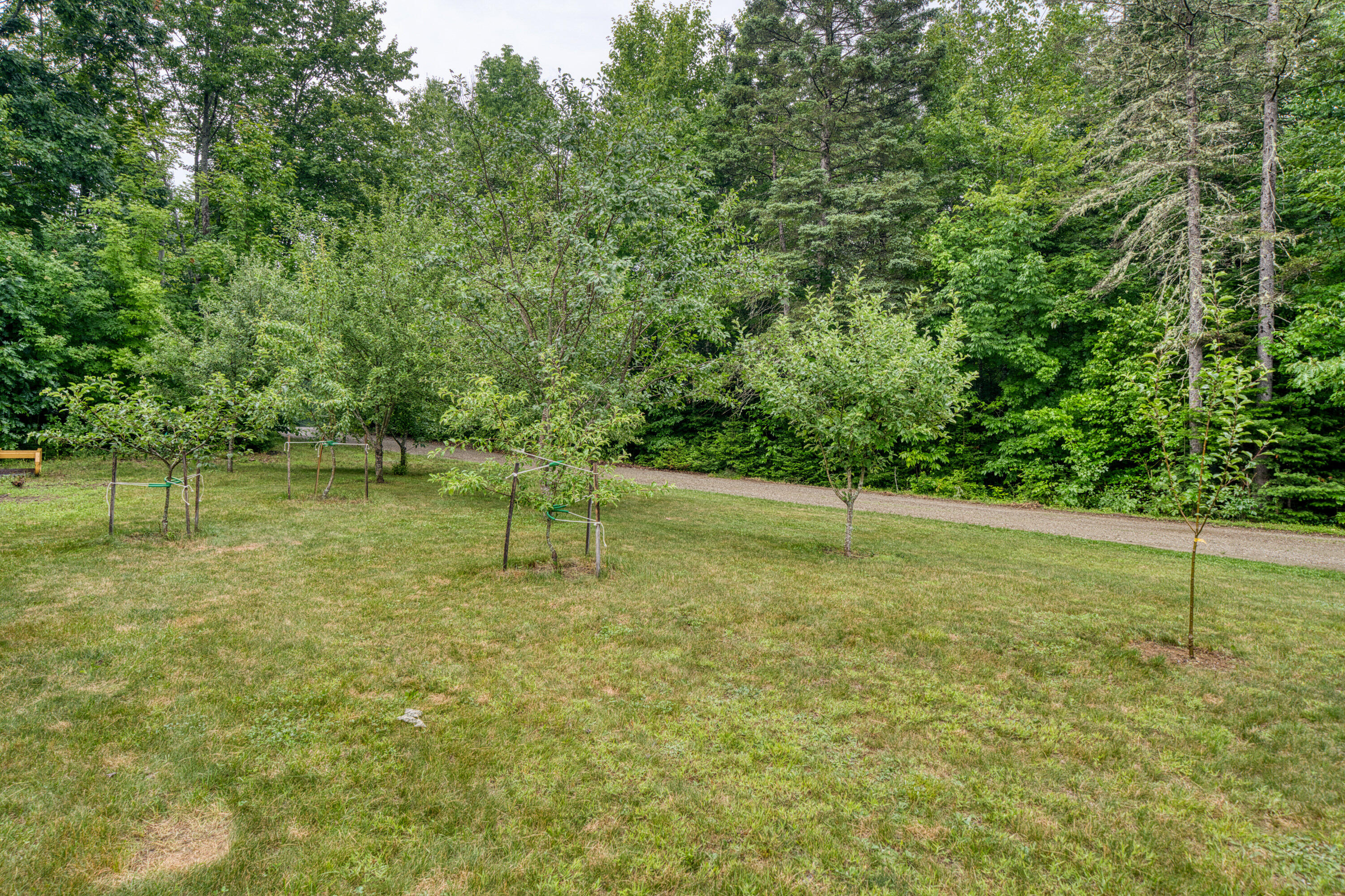 100 Dill Road Stetson ME 04488