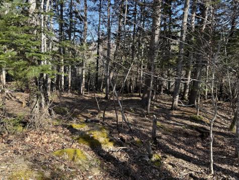 148 Pendleton Point Road Islesboro ME 04848