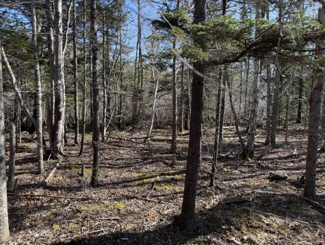 148 Pendleton Point Road Islesboro ME 04848