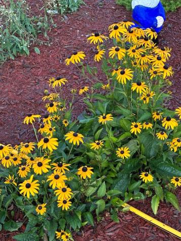 7 Fox Run Road Orland ME 04472