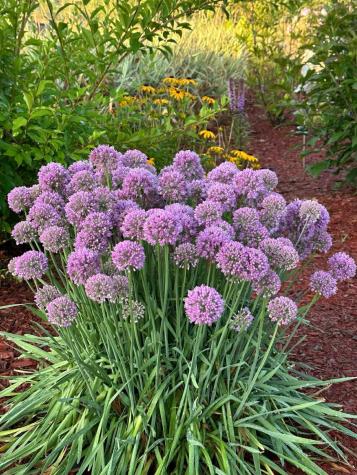 7 Fox Run Road Orland ME 04472