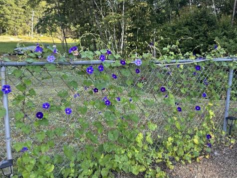 7 Fox Run Road Orland ME 04472