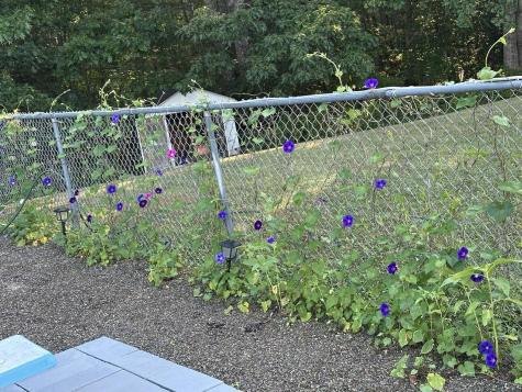 7 Fox Run Road Orland ME 04472