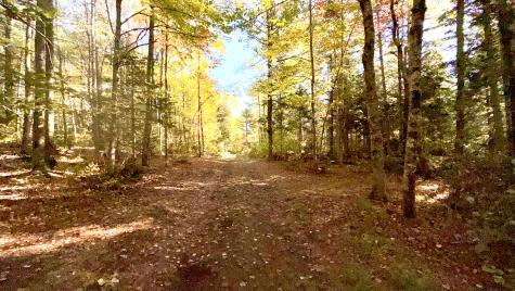 Tbd Ames Road Lee ME 04455