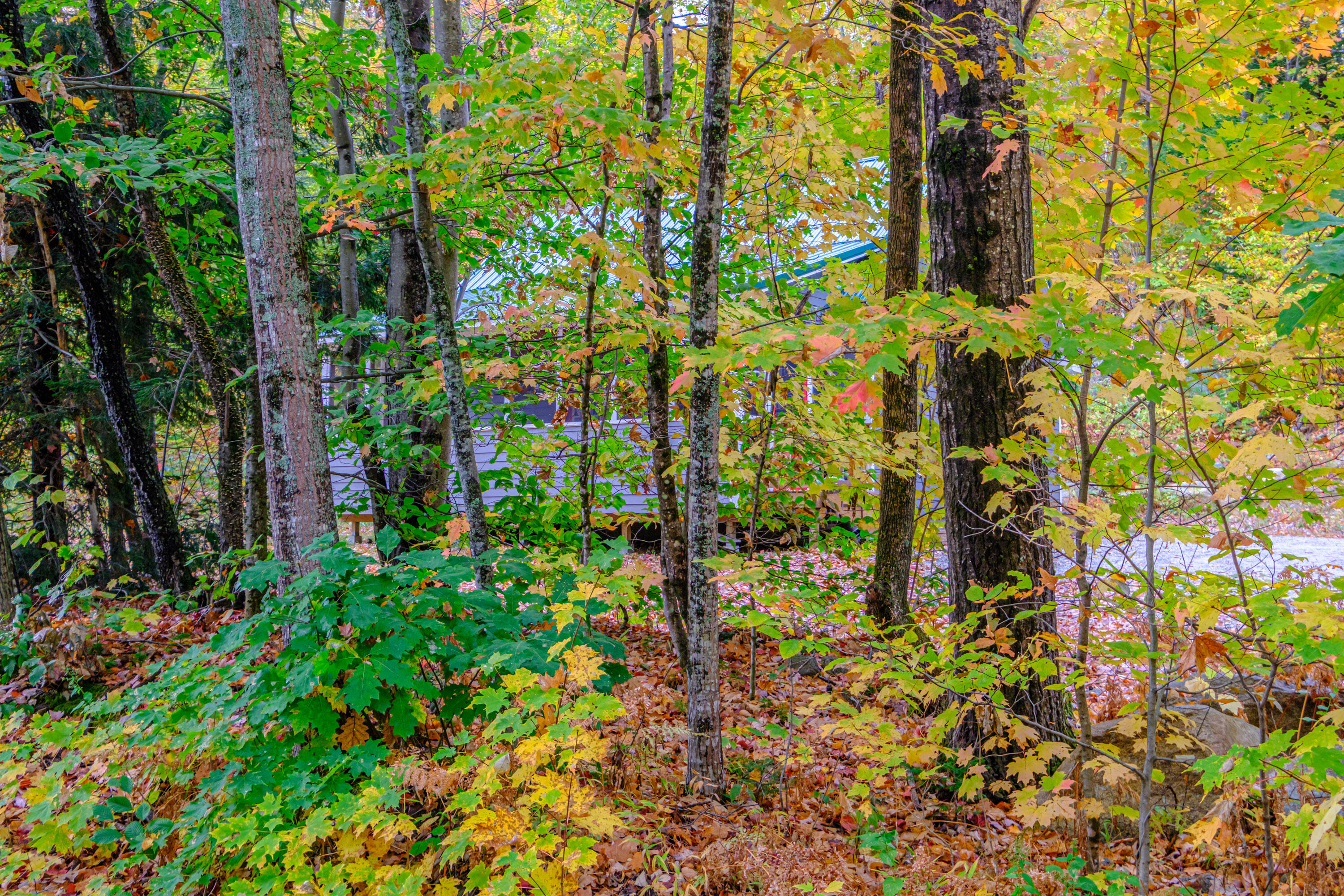 425 Grover Hill Road Bethel ME 04217