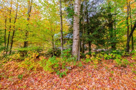 425 Grover Hill Road Bethel ME 04217