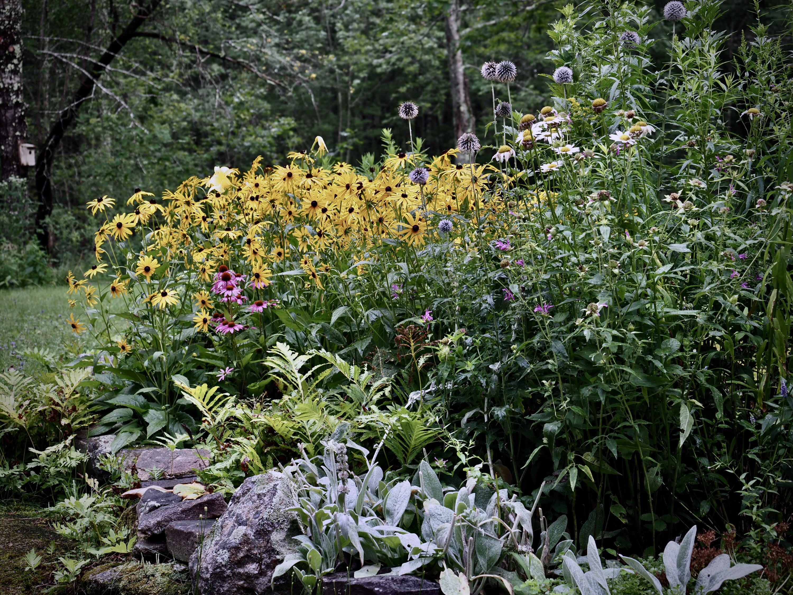 348 Bald Head Road Arrowsic ME 04530