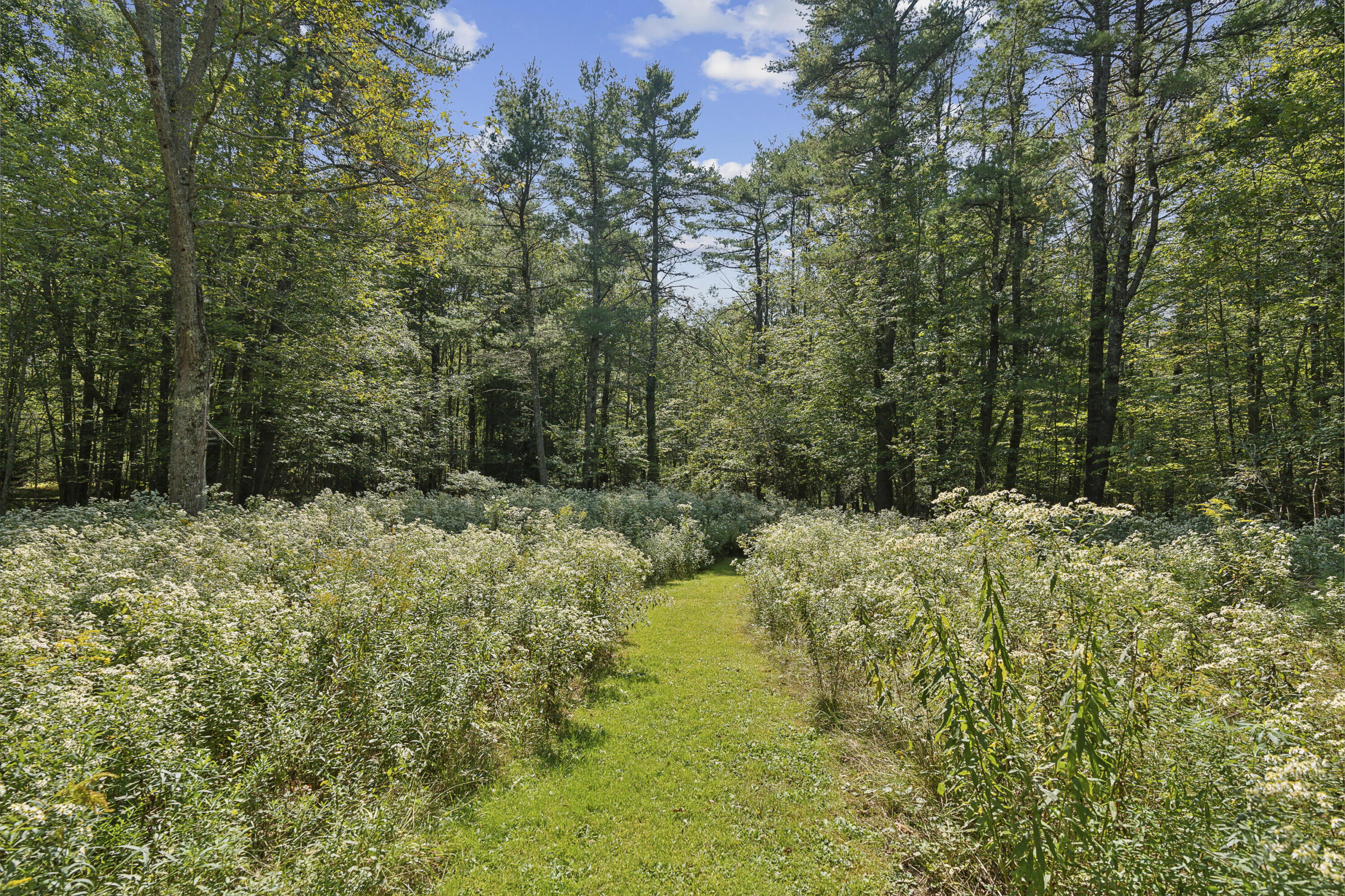 348 Bald Head Road Arrowsic ME 04530