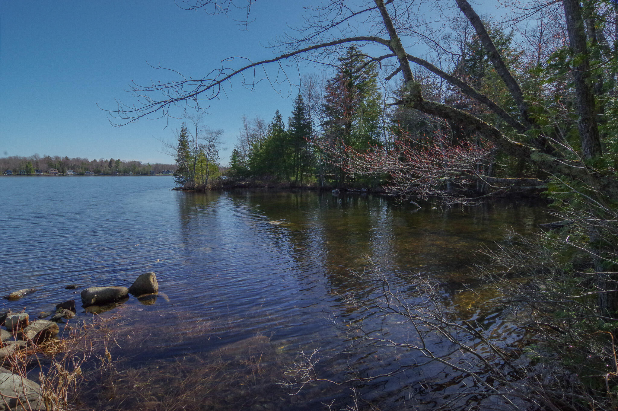 40 Birch Way Stetson ME 04488