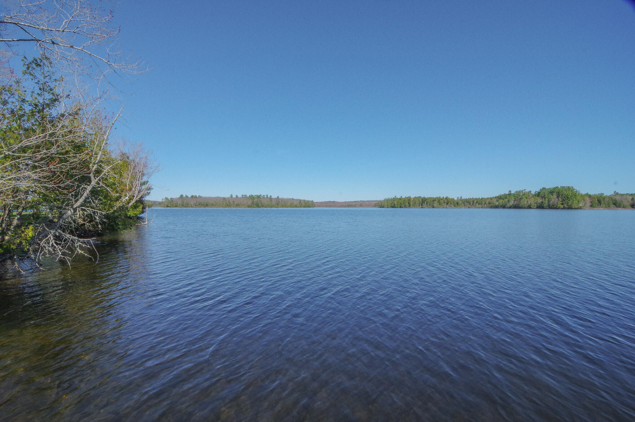 40 Birch Way Stetson ME 04488