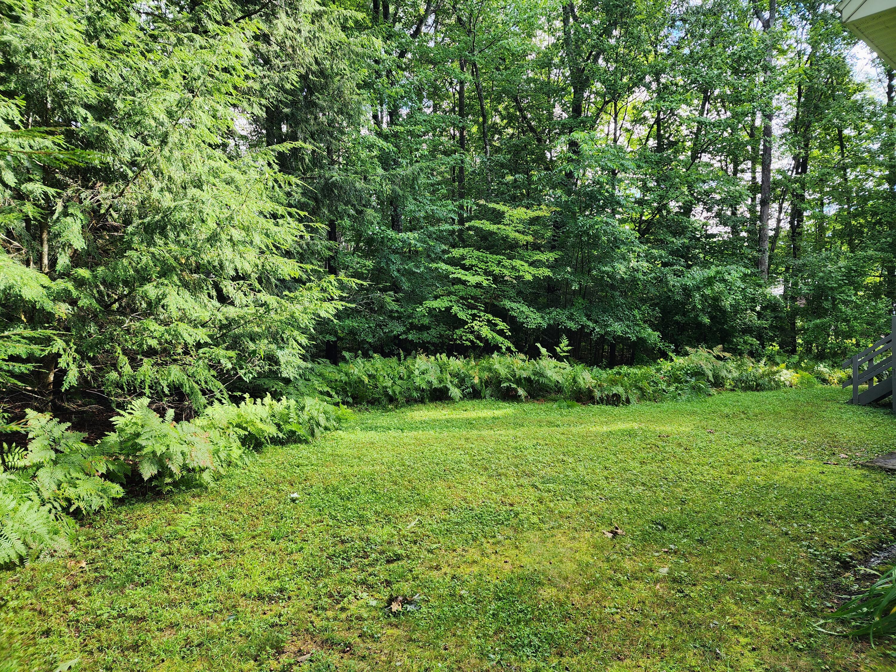 8 Forest Circle Jay ME 04239