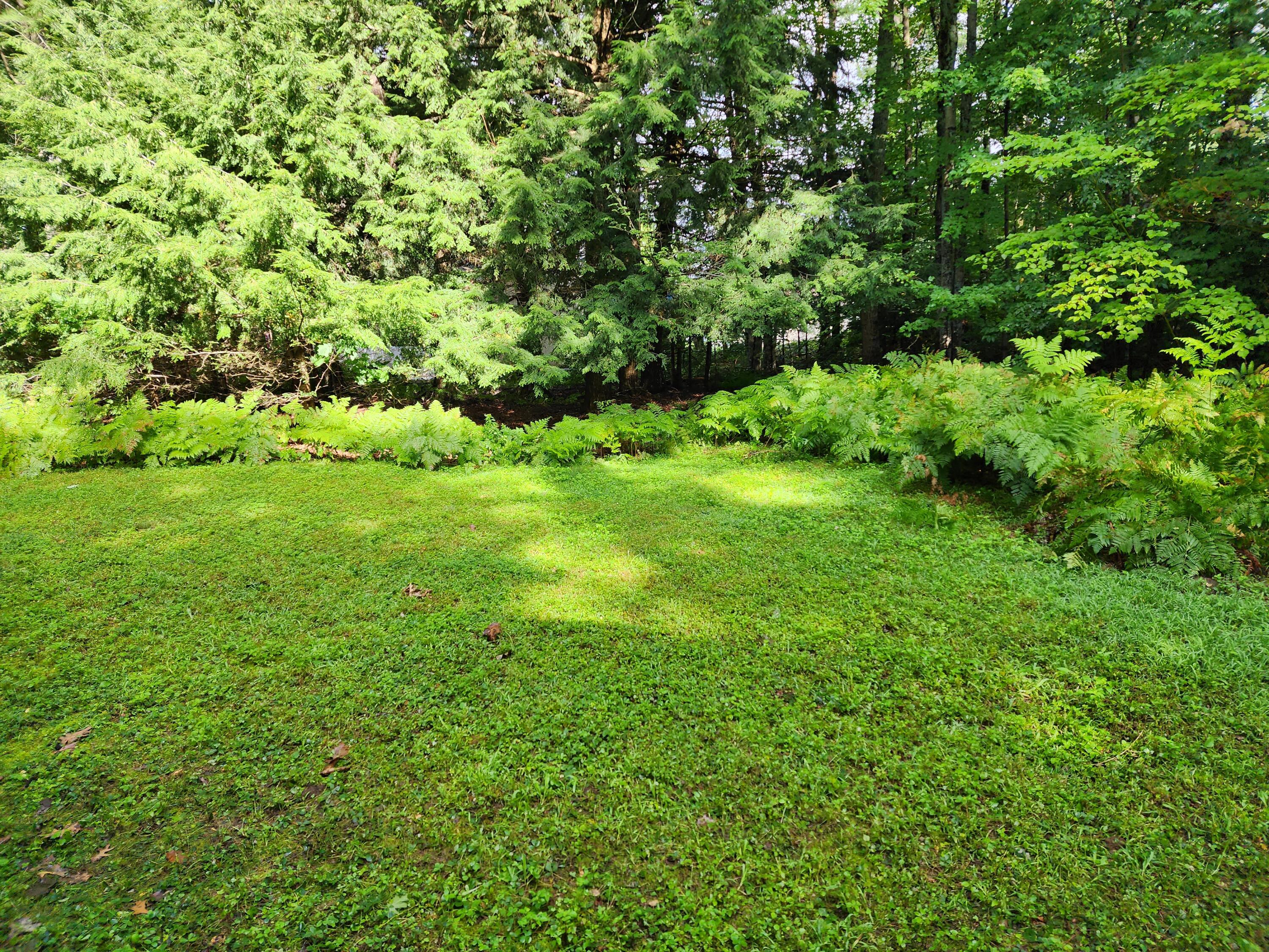 8 Forest Circle Jay ME 04239