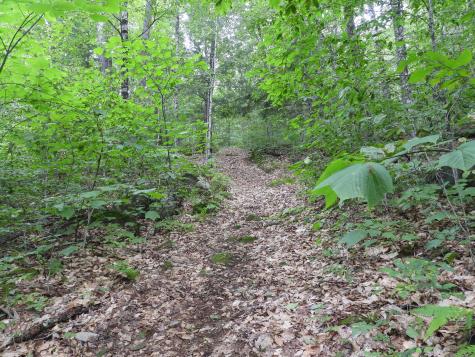 540 Whittemore Hill Road Skowhegan ME 04976