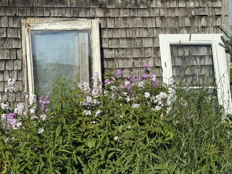 1155 Boot Cove Road Lubec ME 04652