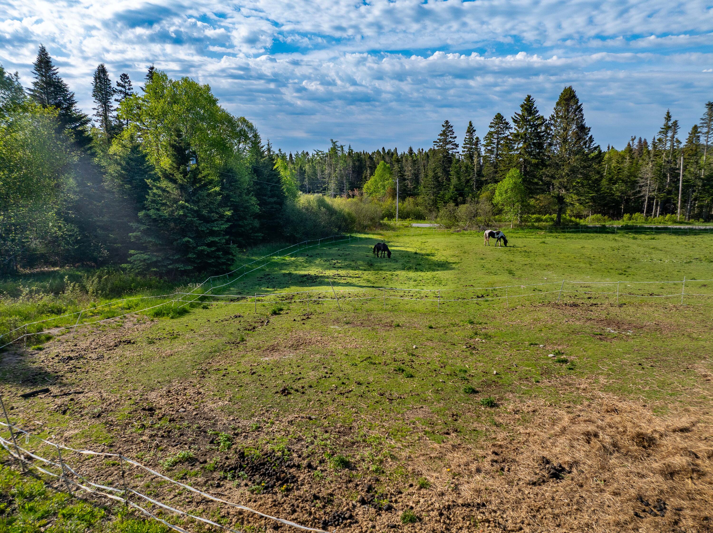 1155 Boot Cove Road Lubec ME 04652