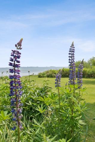 184 John Small Road Chebeague Island ME 04017