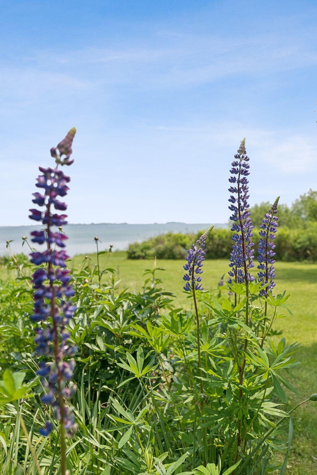 184 John Small Road Chebeague Island ME 04017