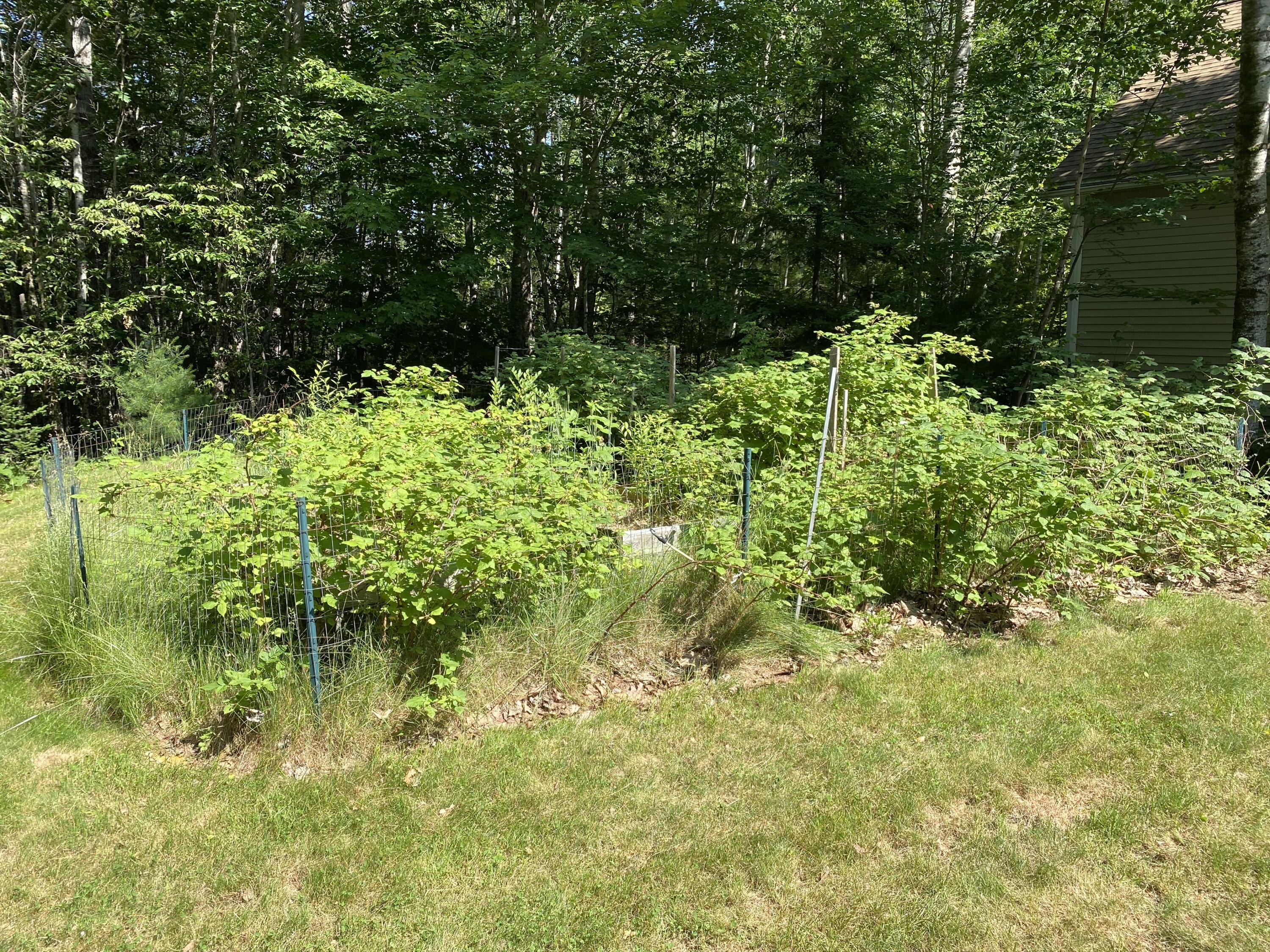48 Stoney Ridge Road Eddington ME 04428