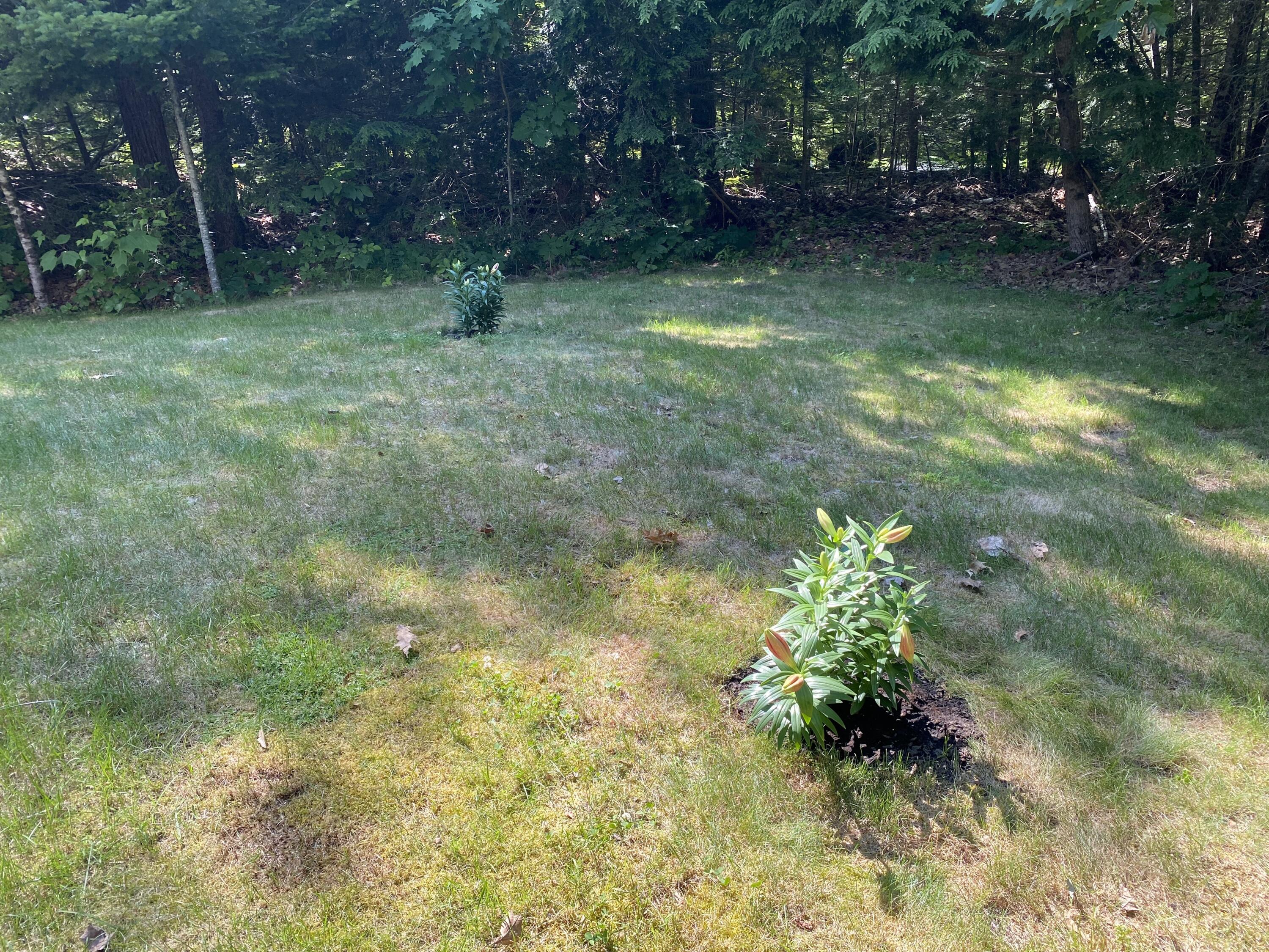 48 Stoney Ridge Road Eddington ME 04428