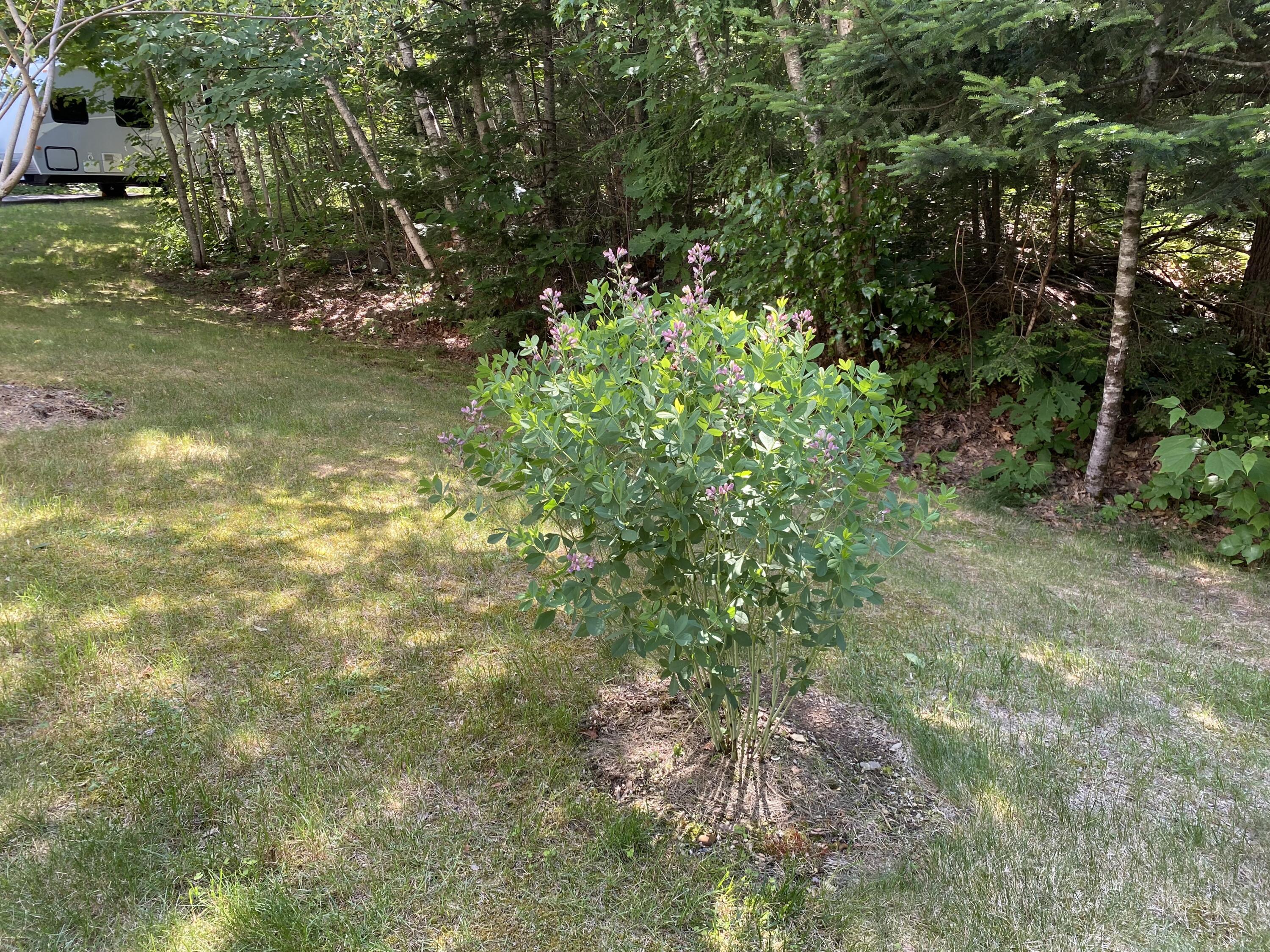 48 Stoney Ridge Road Eddington ME 04428