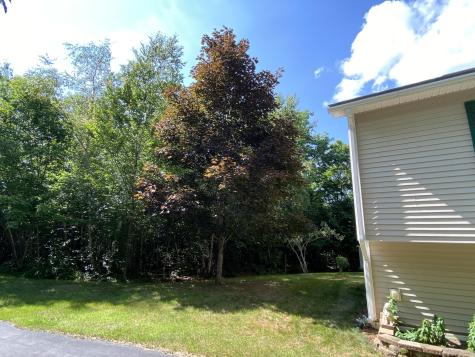 48 Stoney Ridge Road Eddington ME 04428
