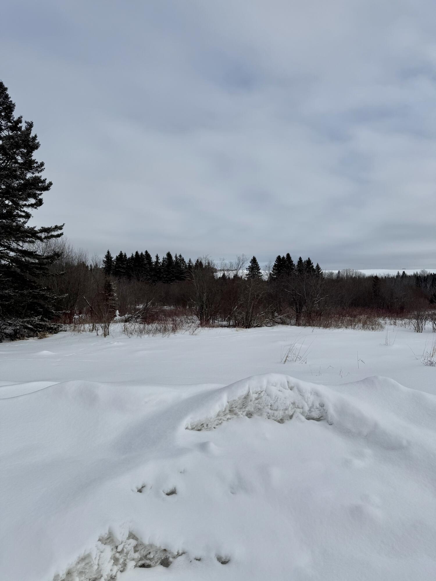 314 Flat Mountain Road Saint Agatha ME 04772