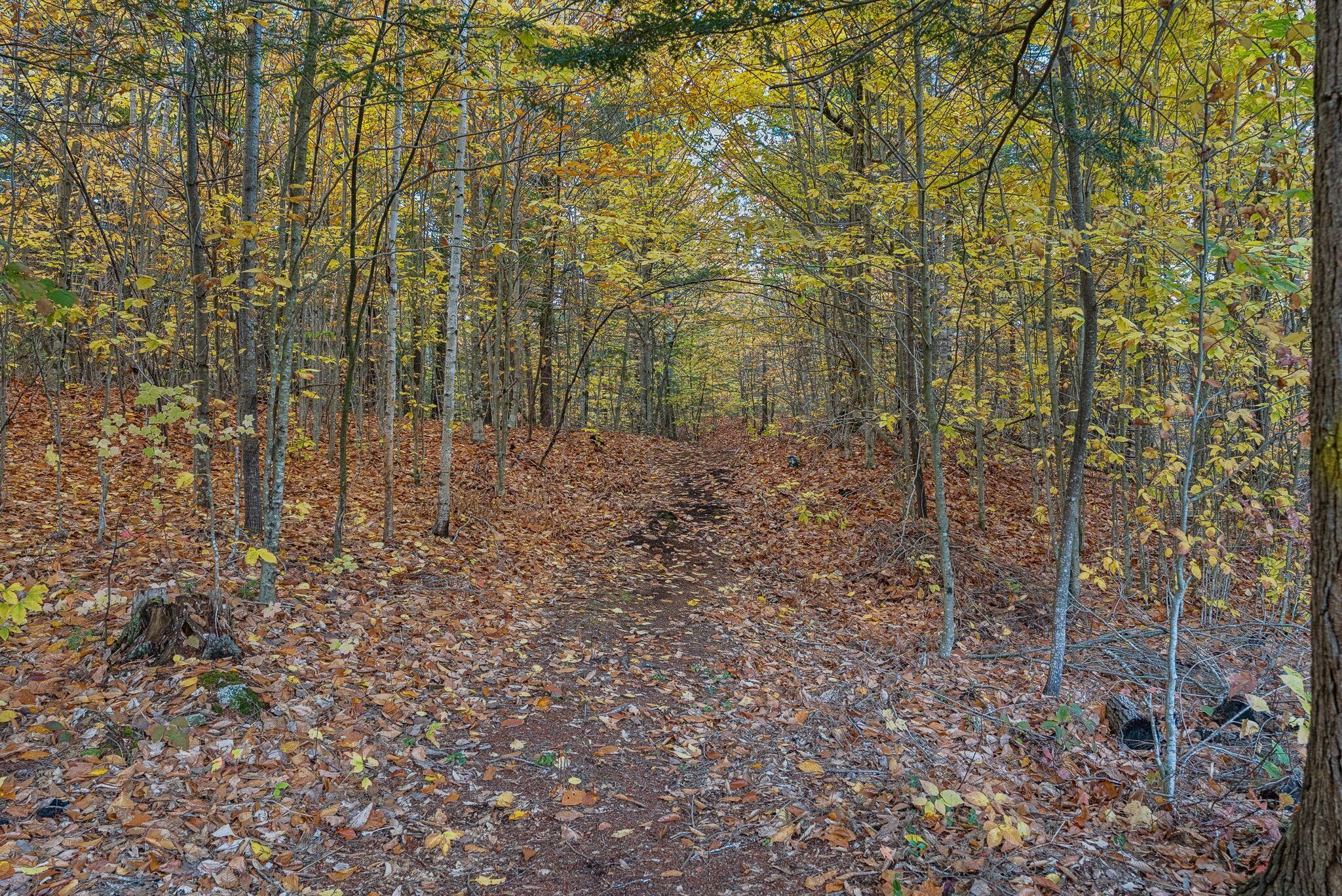 161 Beaver Dam Drive New Gloucester ME 04260