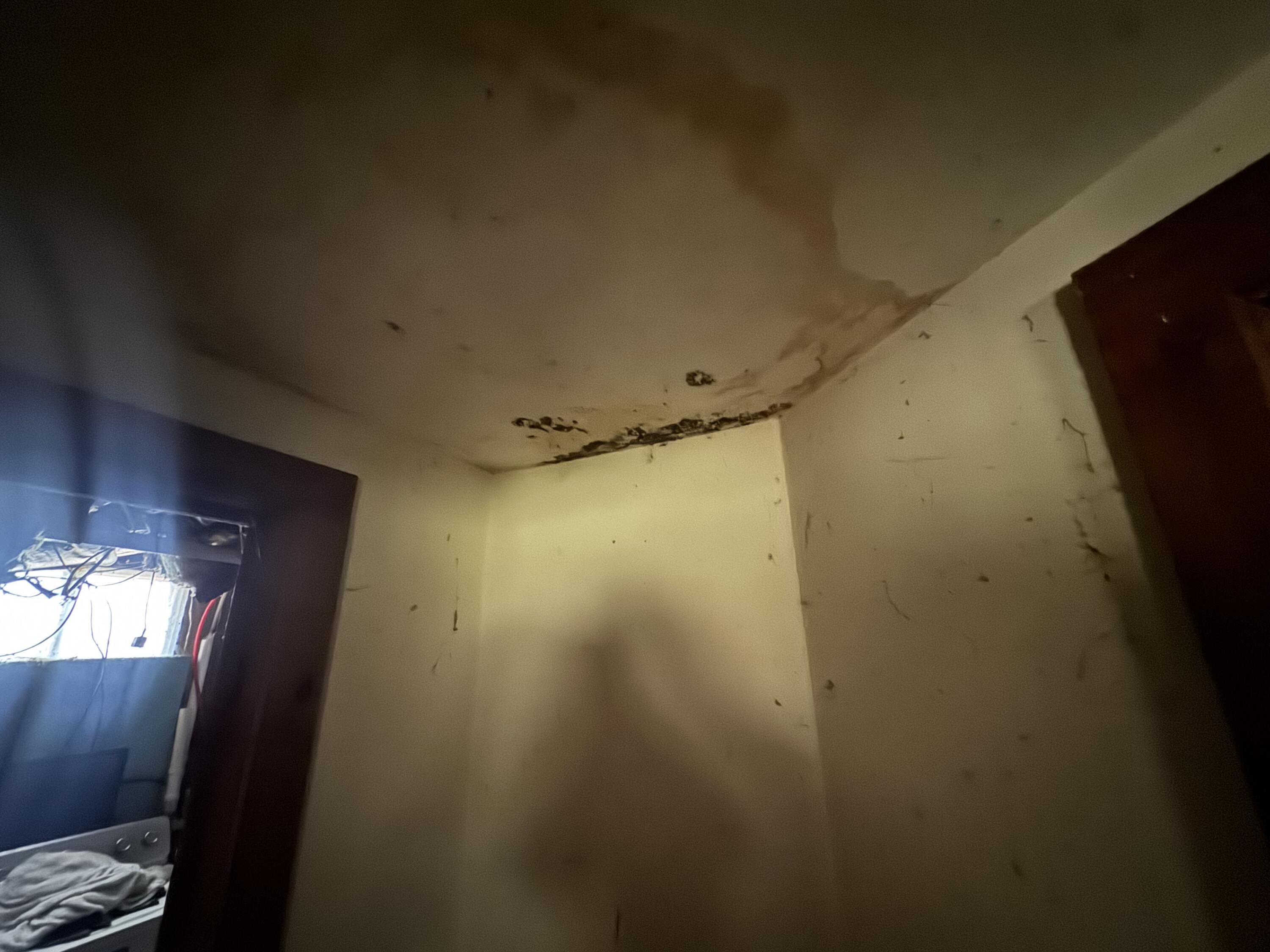 13 Forest Avenue Harrison ME 04040