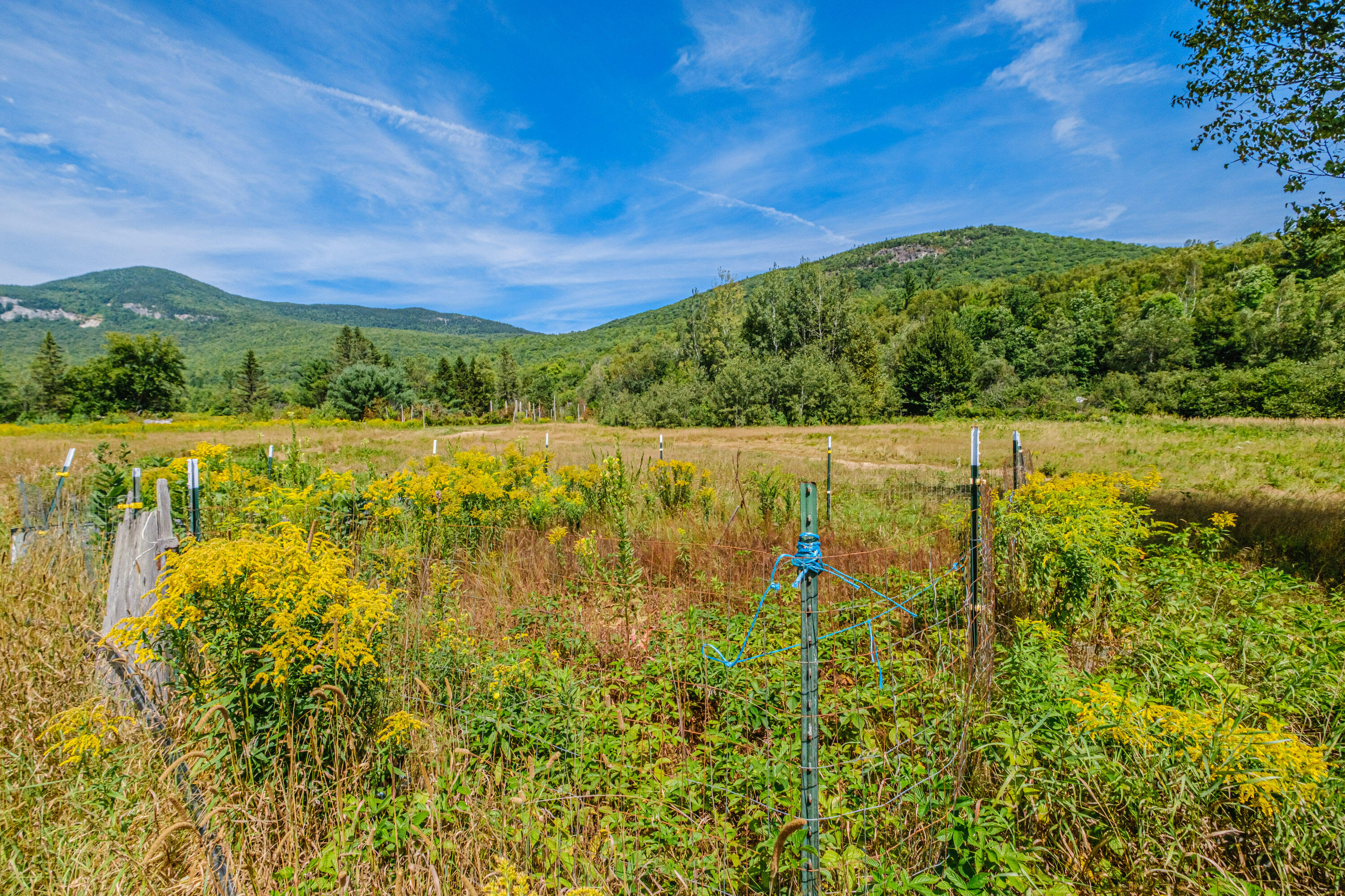 1513 Bear River Road Newry ME 04261