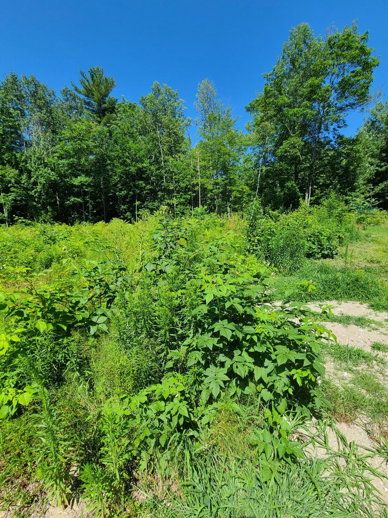 21 Monarch Lane Leeds ME 04263