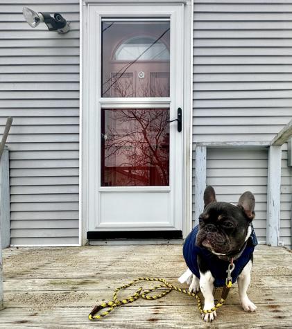 1105 Indian River Road Addison ME 04606