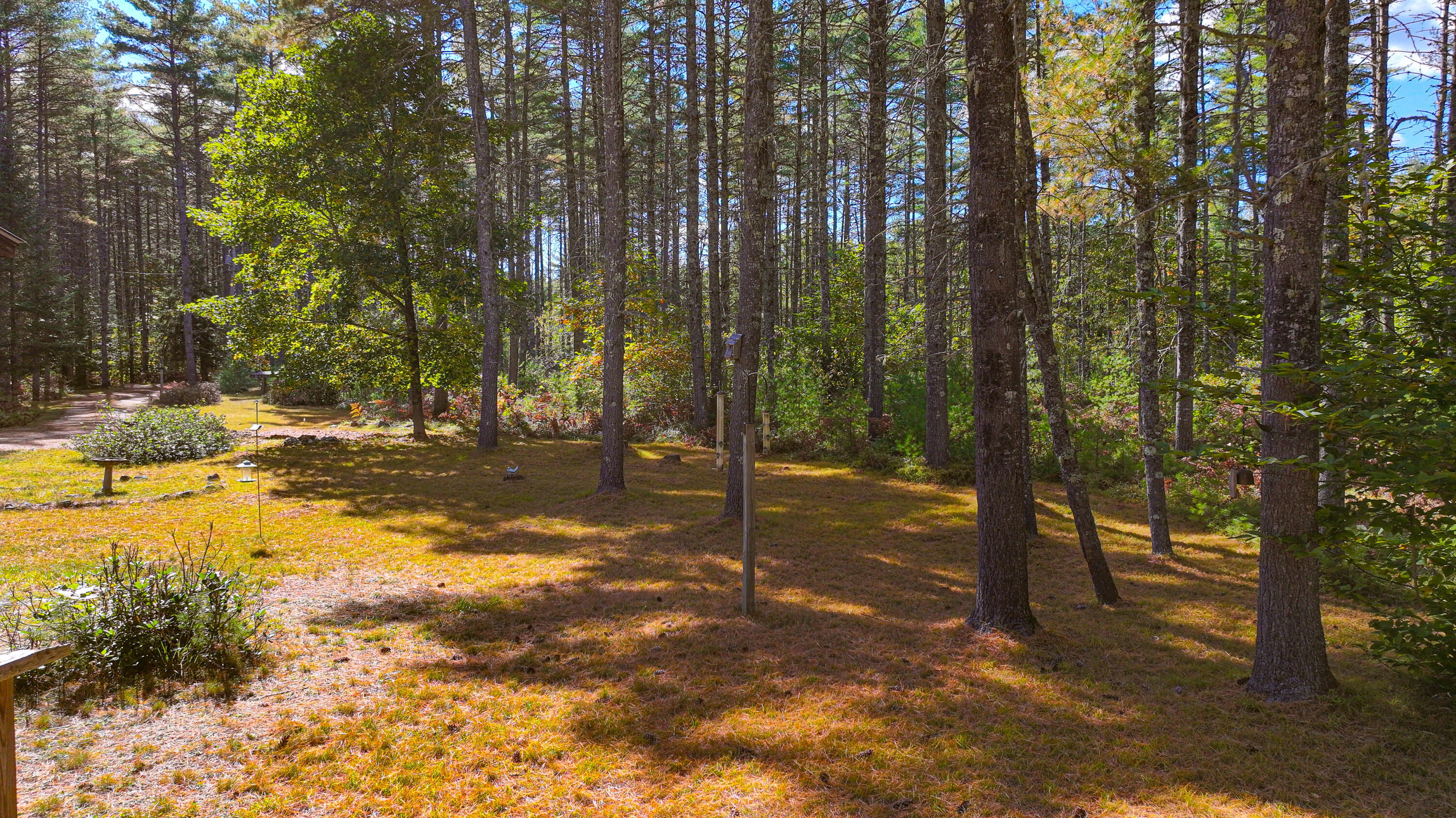 62 Sandy Circle Brownfield ME 04010