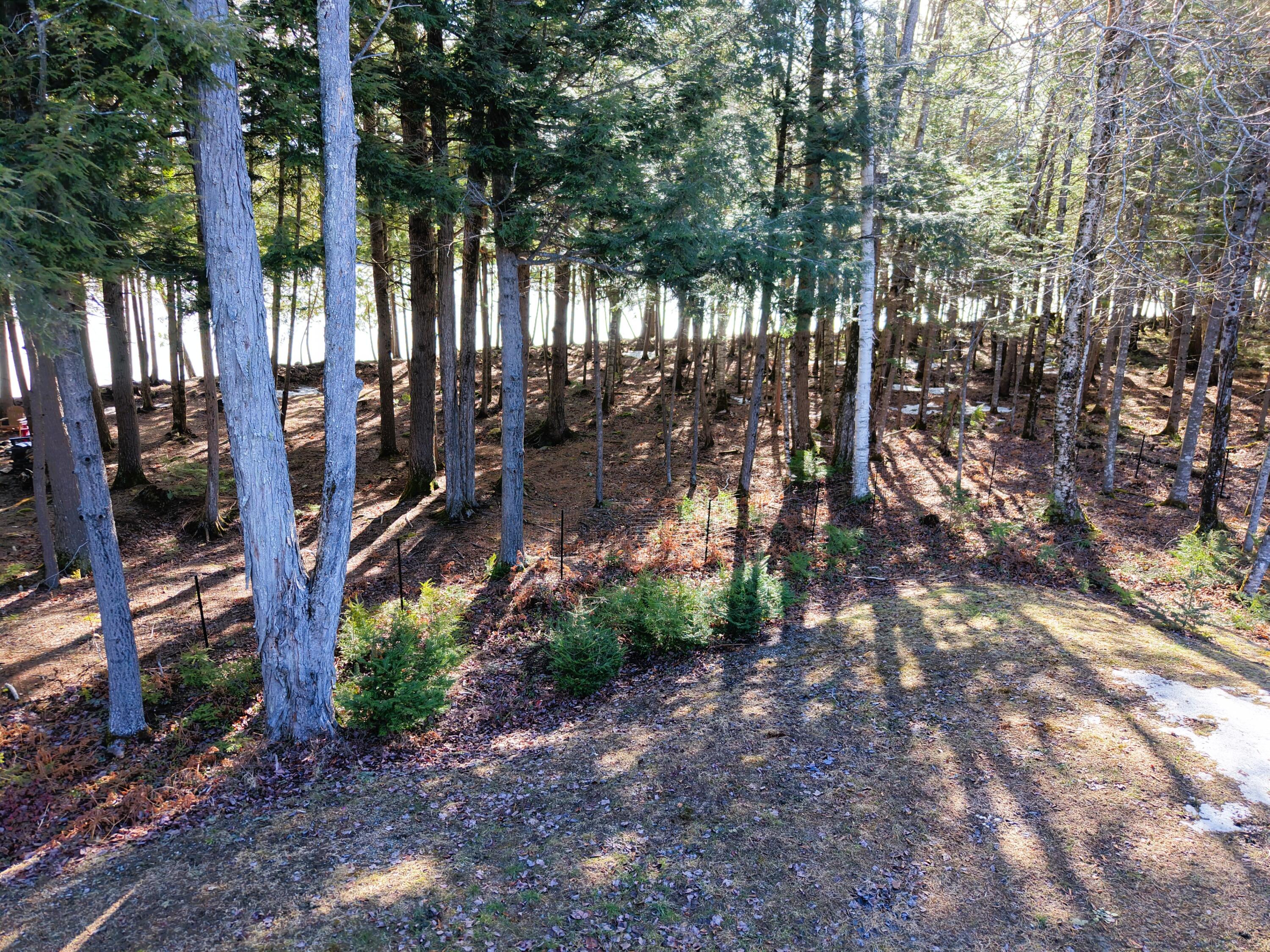 194 Loon Road Embden ME 04958