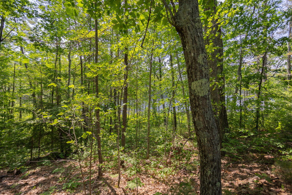 36 Blacks Lane Chesterville ME 04938