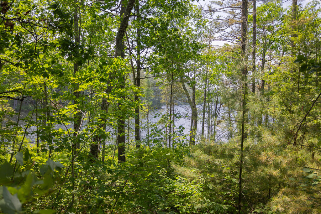 36 Blacks Lane Chesterville ME 04938