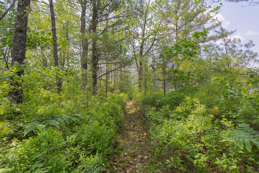 36 Blacks Lane Chesterville ME 04938