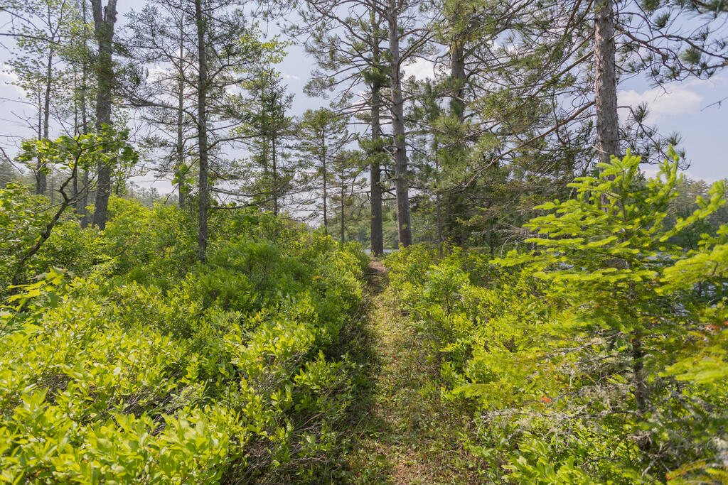 36 Blacks Lane Chesterville ME 04938